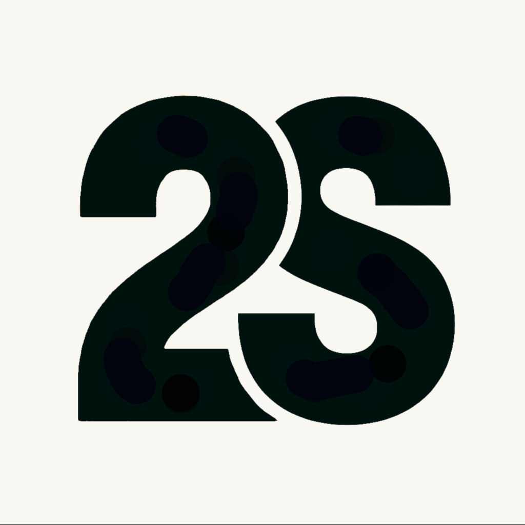 Second Stream icon